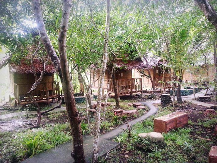 Bohol Coco Farm Vandrehjem Panglao Eksteriør billede