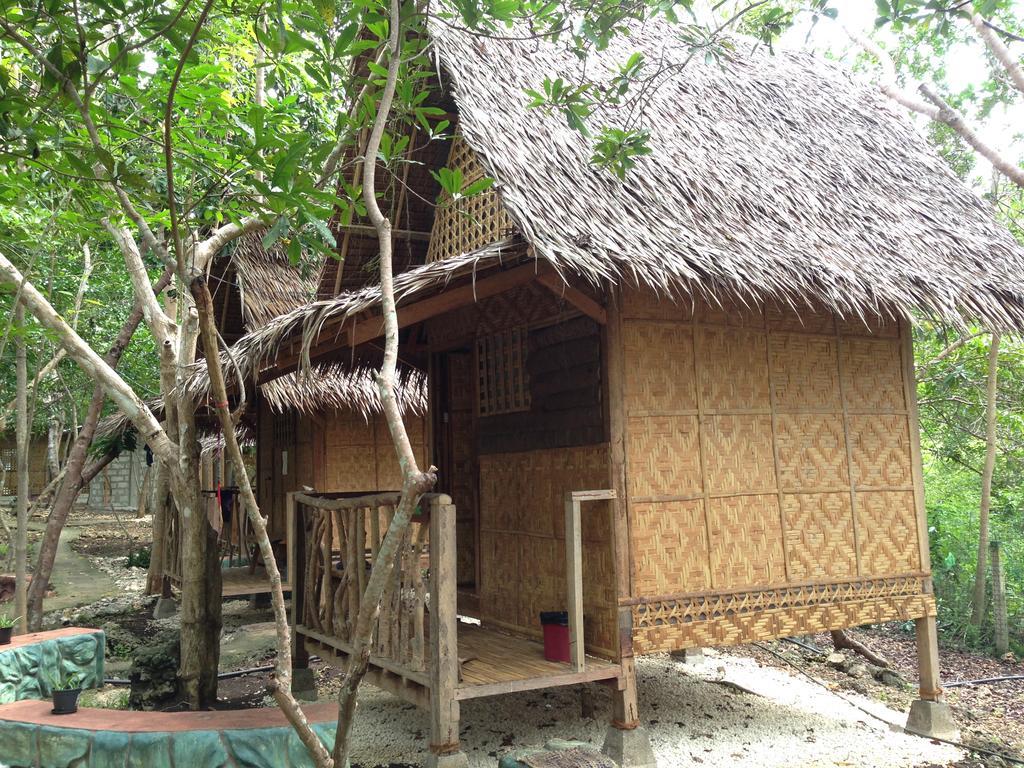 Bohol Coco Farm Vandrehjem Panglao Eksteriør billede