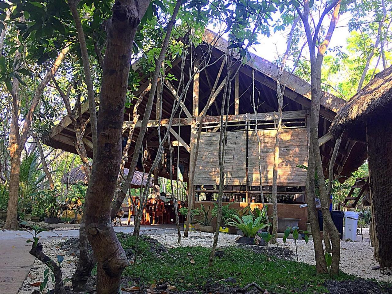 Bohol Coco Farm Vandrehjem Panglao Eksteriør billede