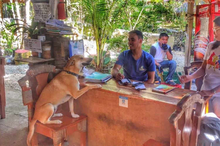 Bohol Coco Farm Vandrehjem Panglao Eksteriør billede