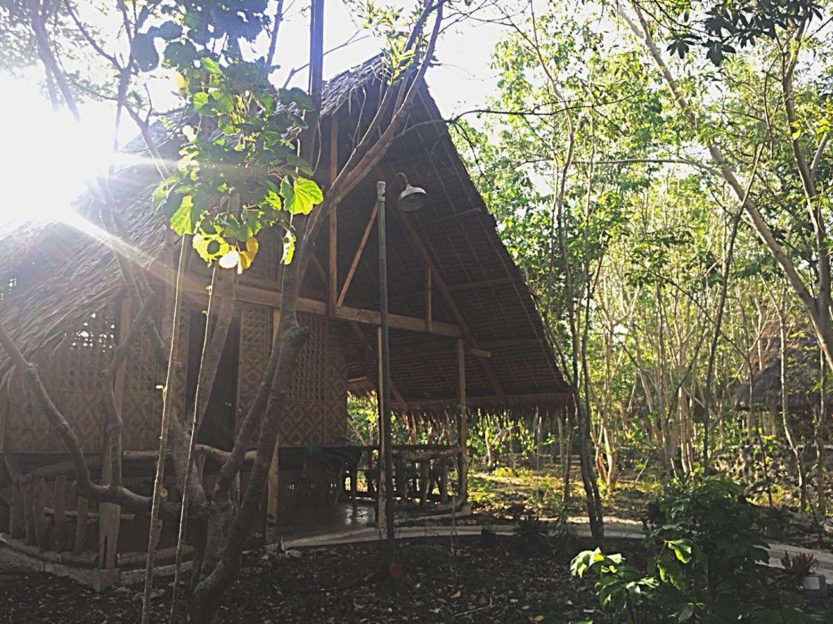 Bohol Coco Farm Vandrehjem Panglao Eksteriør billede